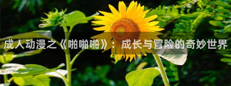行业资讯